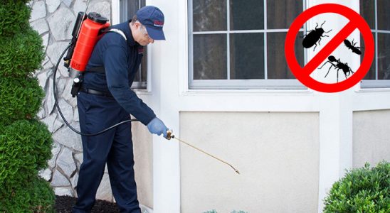 Özalp Dezenfeksiyon böcek ilaçlama ve haşere kontrolü — ilaclama-tr.com